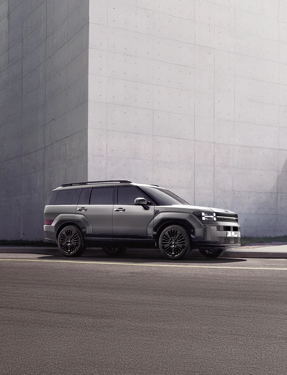 All New SantaFe Gasoline G 2.5 6AT Calligraphy